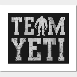 Team Yeti Posters and Art